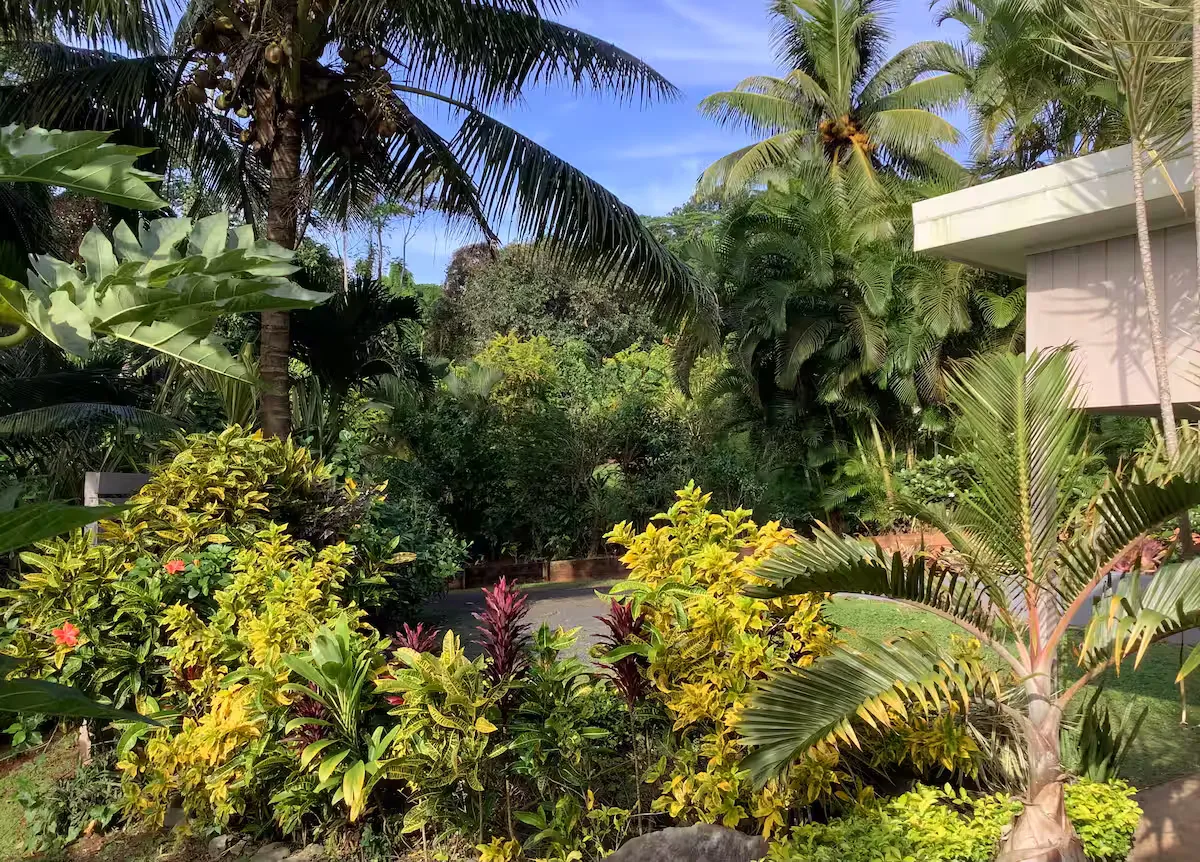 Teiana's Retreat - Image 20